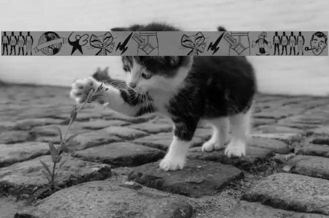 TackODing Dingbat Font examples