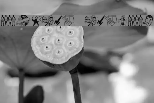 TackODing Dingbat Font examples