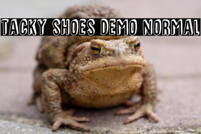 Tacky Shoes DEMO Normal Example 1