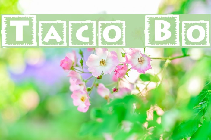 Taco Box Font examples