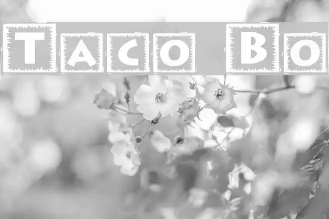 Taco Box خط examples