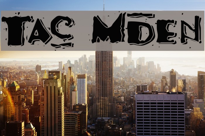 Taco Modern Font examples