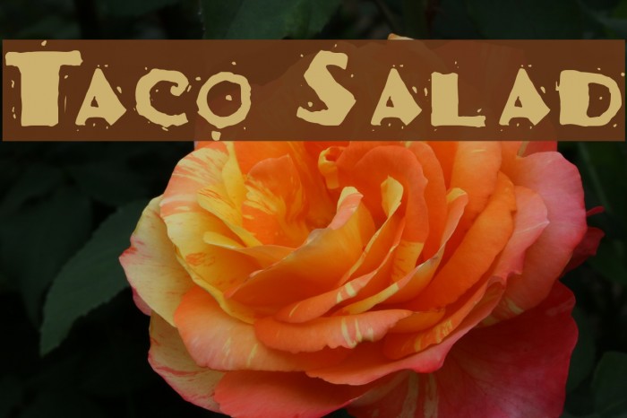 Taco Salad Font examples