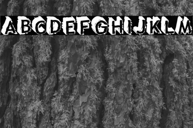 Taco Truck Militia Font examples