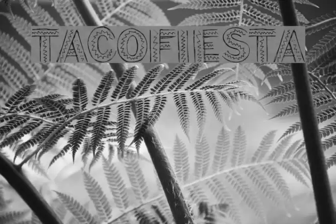 TacoFiesta Font examples