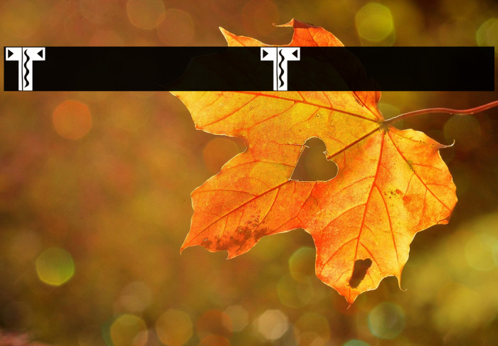 Tacos de Tijuana Example 3