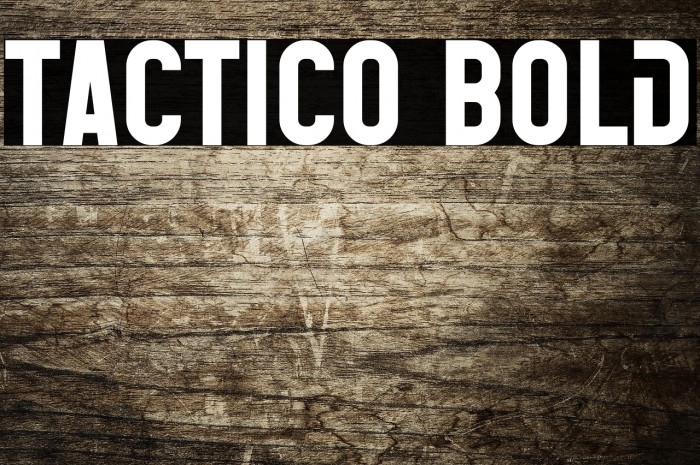 Tactico Bold Example 1
