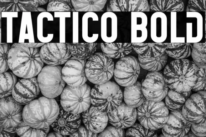 Tactico Bold Font examples
