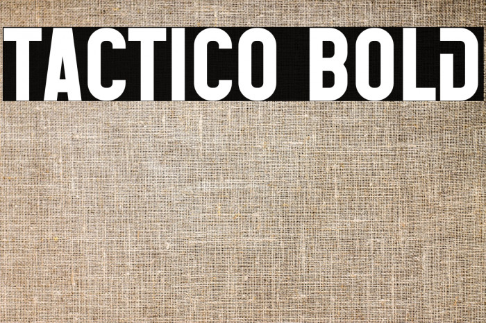 Tactico Bold Example 3