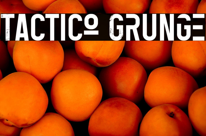 Tactico Grunge Example 1