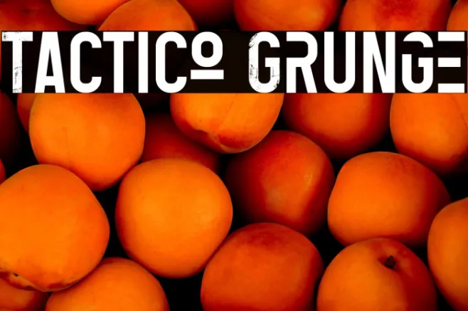 Tactico Grunge Example 1