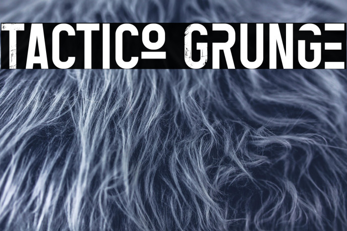 Tactico Grunge Example 2