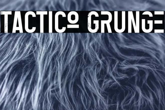 Tactico Grunge Example 2