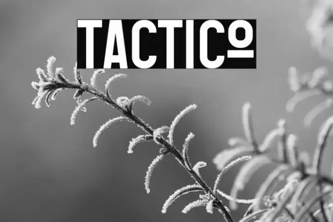 Tactico Font examples