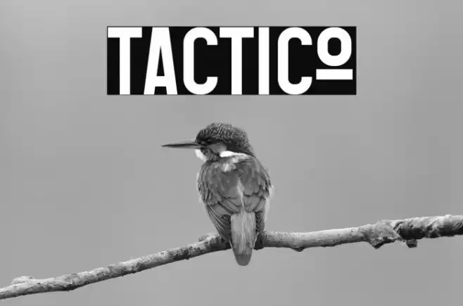 Tactico Font examples