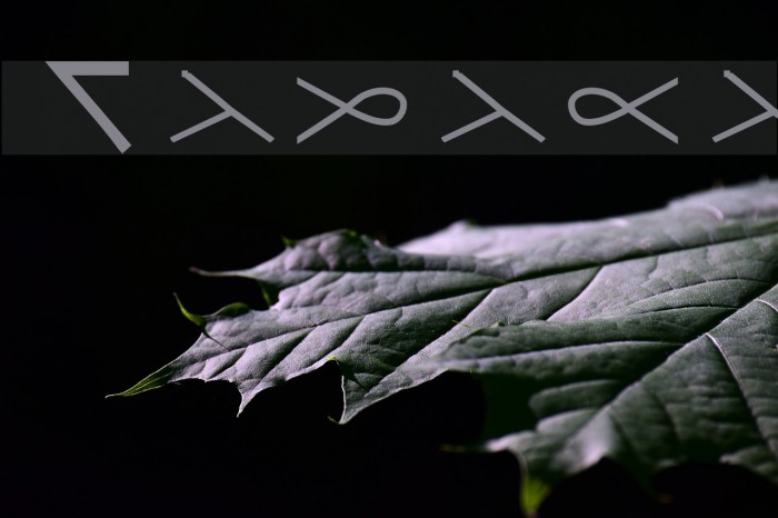 Tadaca Font examples