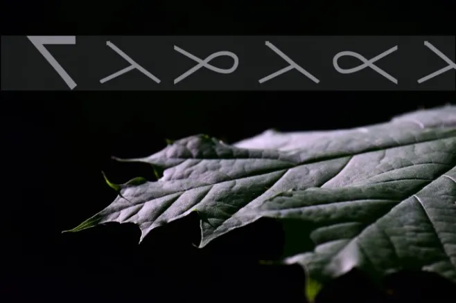 Tadaca Example 3