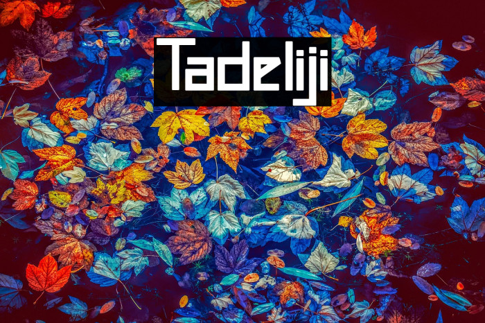 Tadeliji Example 3