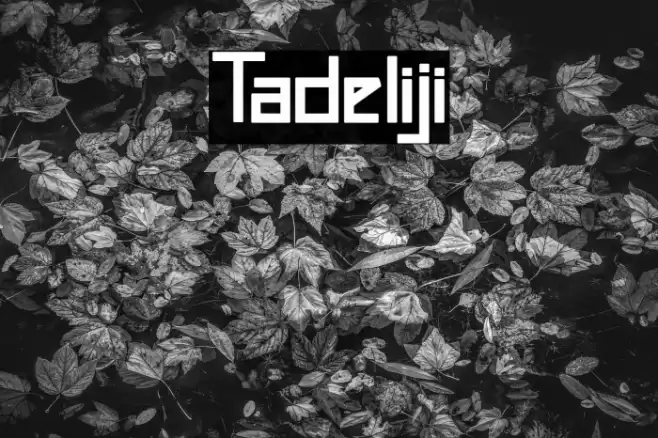 Tadeliji Font examples