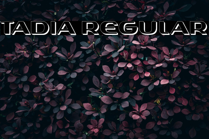 Tadia Regular Example 1