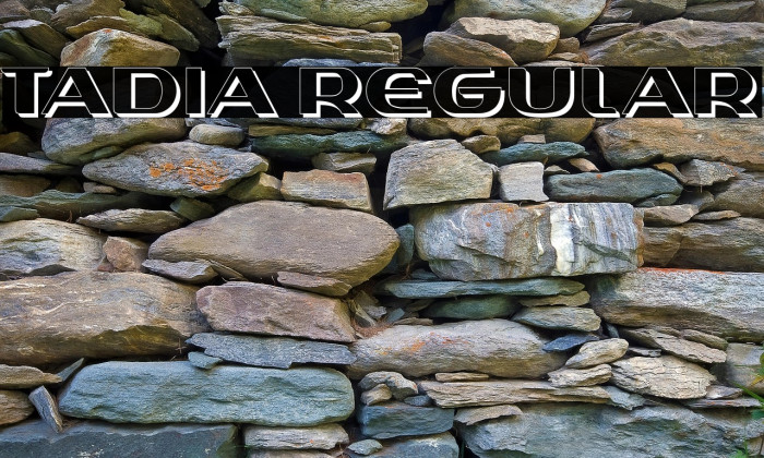 Tadia Regular Example 3