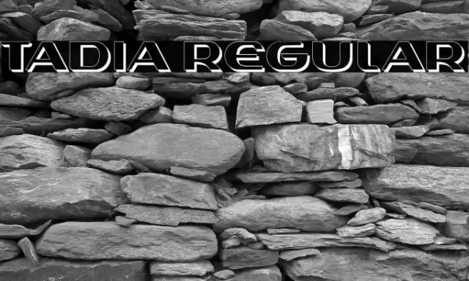Tadia Regular Font examples