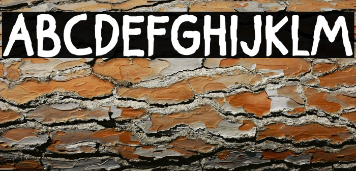 Tadiven Polices examples