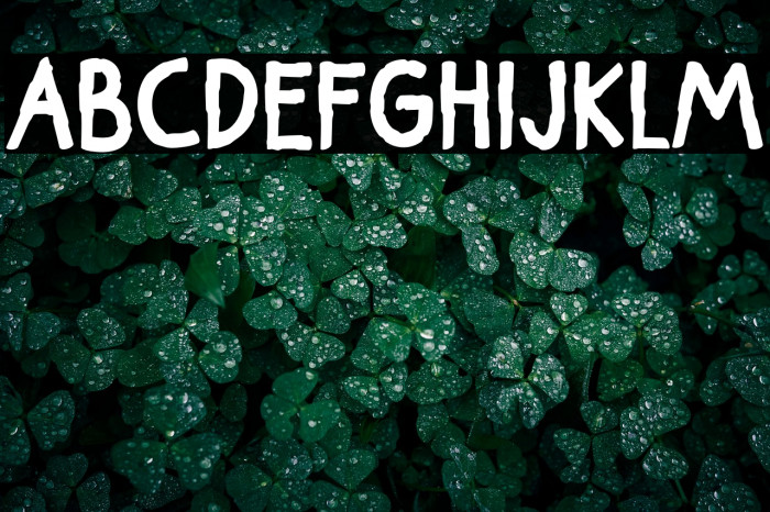 Tadiven Polices examples