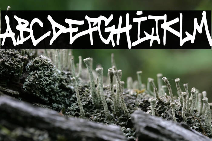 Tag It Yourself Example 2