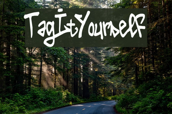 Tag It Yourself Example 2