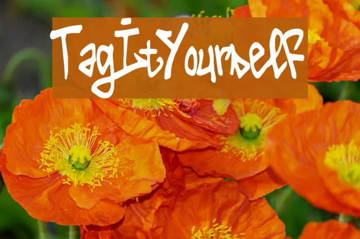 Tag It Yourself Example 3