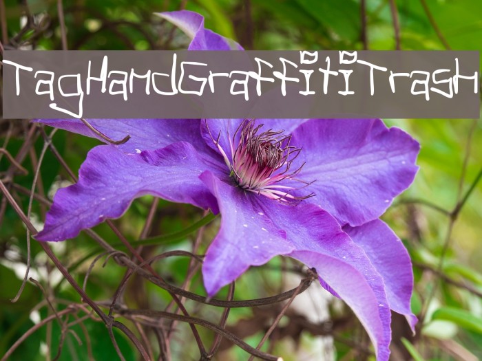 TagHandGraffitiTrash Font examples