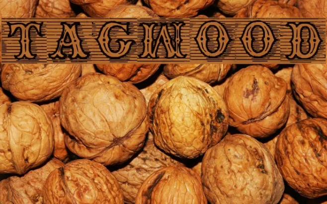 TagWood Example 1