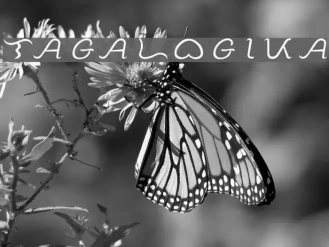 Tagalogika Schriftart examples