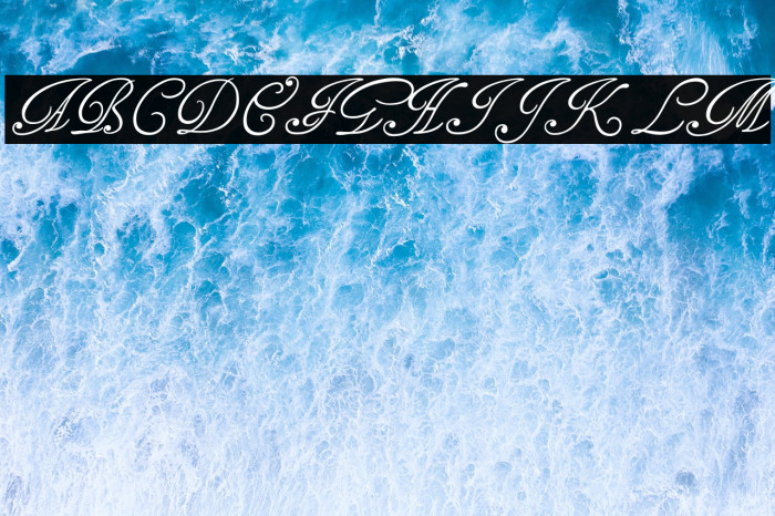 TagettesPlus Example 2