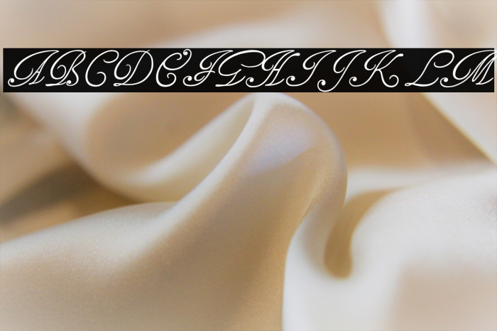 TagettesPlus Example 3