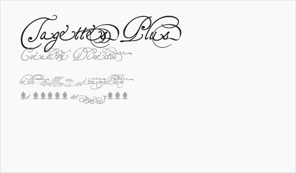 TagettesPlus Business Card