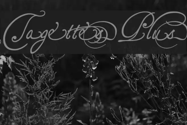 TagettesPlus Font examples