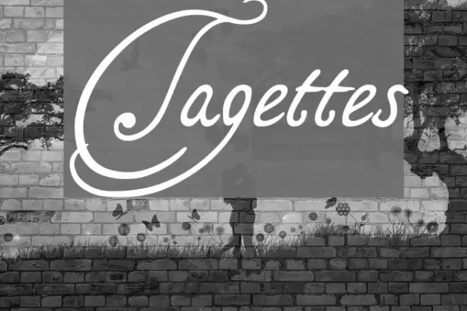 Tagettes Font examples