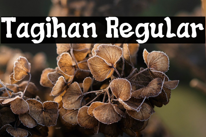 Tagihan Regular Example 2