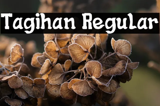 Tagihan Regular Example 2