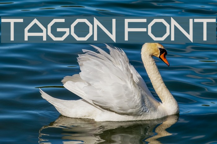 Tagon Font examples