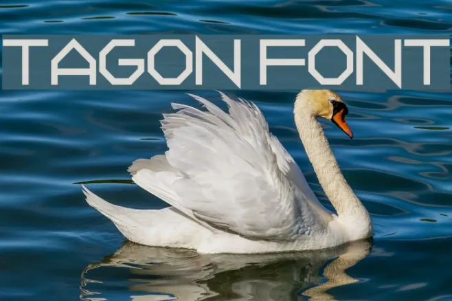 Tagon Example 3