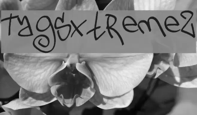TagsXtreme2 Font examples
