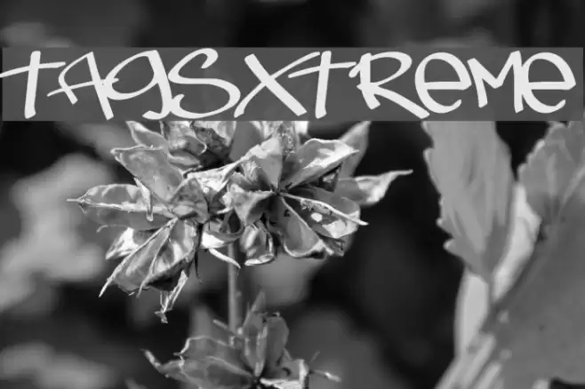 TagsXtreme Font examples