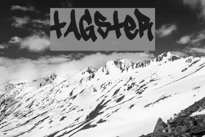 Tagster Polices examples