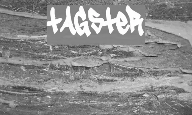 Tagster Polices examples