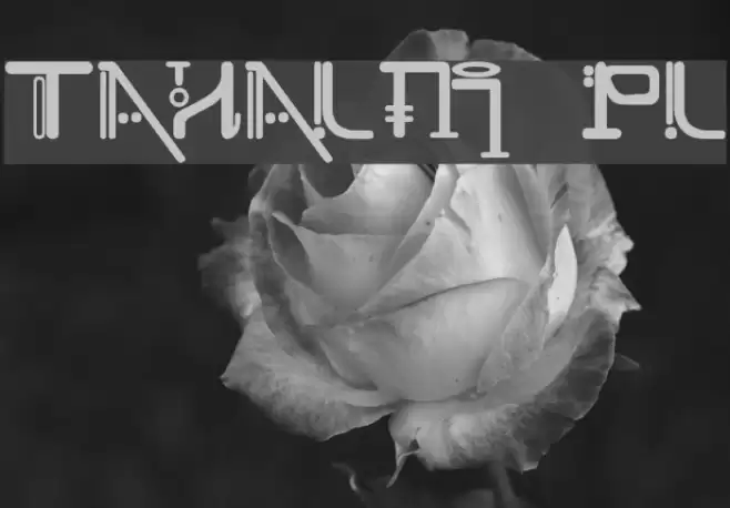 Tahalm pl Font examples