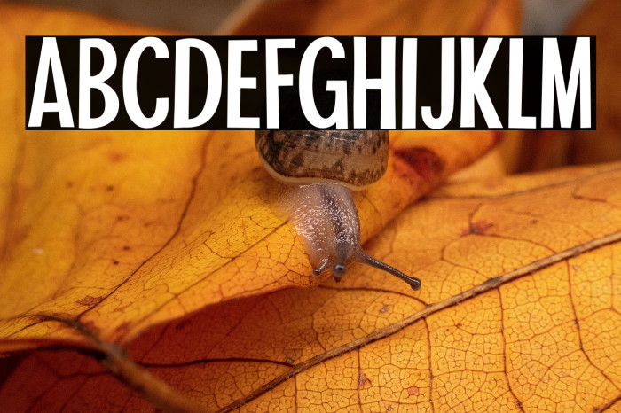 Tahiti Sans Example 1