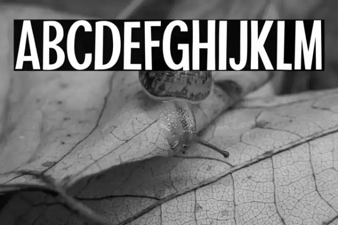 Tahiti Sans Font examples